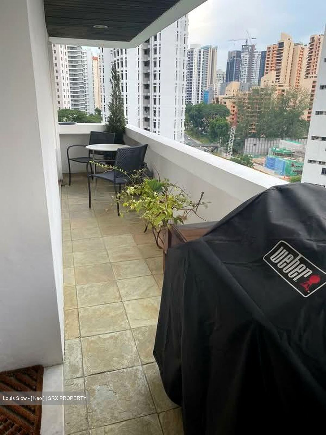 Leonie Towers (D9), Apartment #545069911